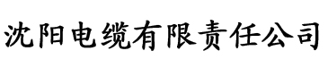 大香蕉免费电影在线观看电缆厂logo